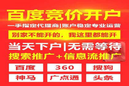 百度推广代运营公司：打造高效的网络营销团队